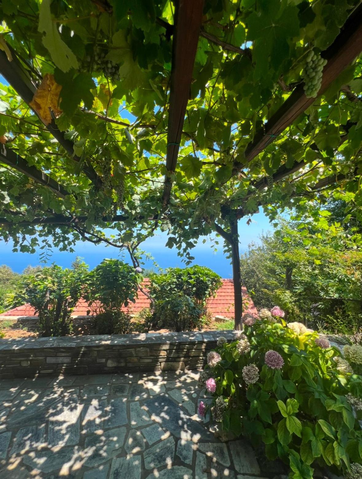 Om Living Pelion Leilighet Áyios Dhimítrios Eksteriør bilde